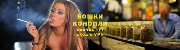 дмт Белокуриха