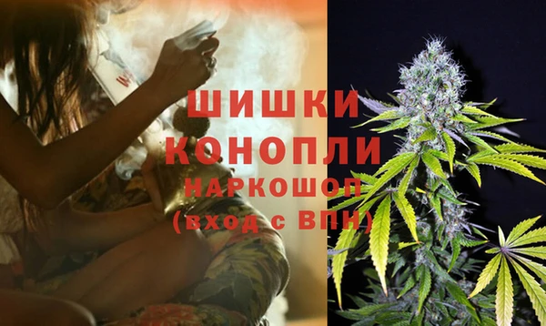 дмт Белокуриха
