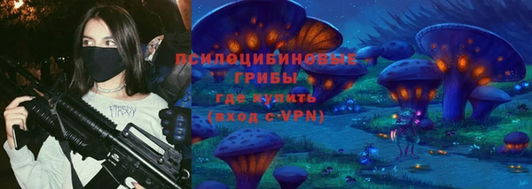 дмт Белокуриха
